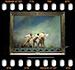 Dantons Tod - Film